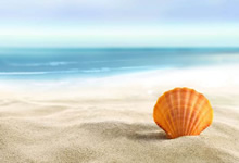 擒敌如擢，勒沃库森轻松拿下对手