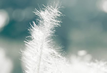 欧预赛：荷兰队实力强劲，轻松击败对手！