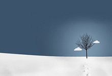 皇家社会：本赛季黑马的崛起之路，球迷期待下一站辉煌！